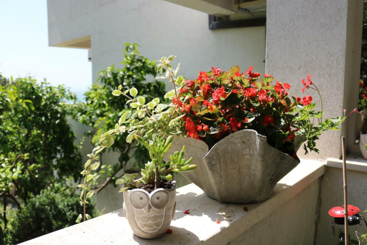 Beautifull Sea View Apartment Baska Voda Ngoại thất bức ảnh
